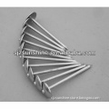 good quality galvanized roofing nails with umbrell head twisted shank factory